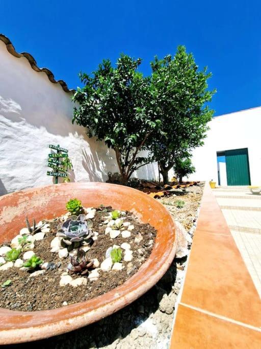 Povoa de Sao Miguel Casa Da Enxota 빌라 외부 사진
